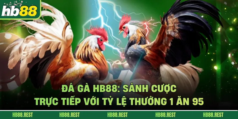 Đá gà HB88: Sảnh Cược Trực Tiếp Với Tỷ Lệ Thưởng 1 Ăn 95
