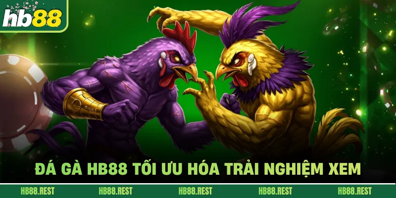 Đá gà HB88 tối ưu hóa trải nghiệm xem.
