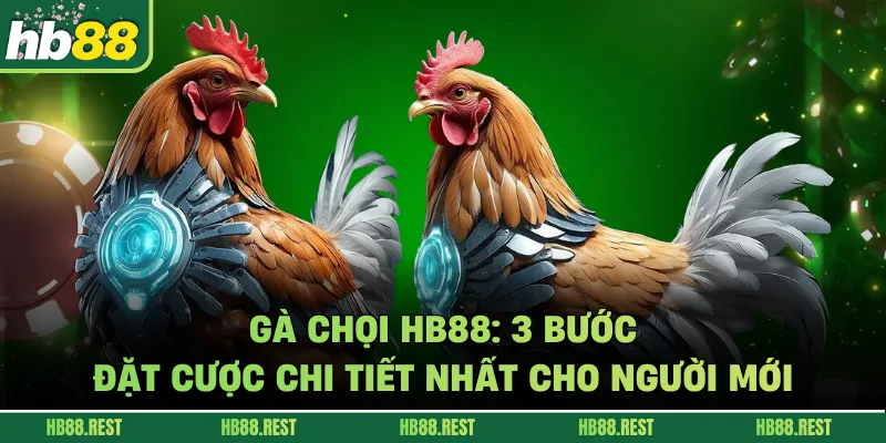 Gà Chọi HB88: 3 Bước Đặt Cược Chi Tiết Nhất Cho Người Mới